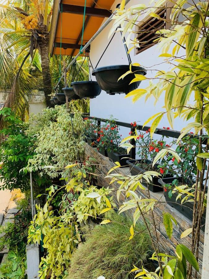 Art House Otel Dikwella Dış mekan fotoğraf