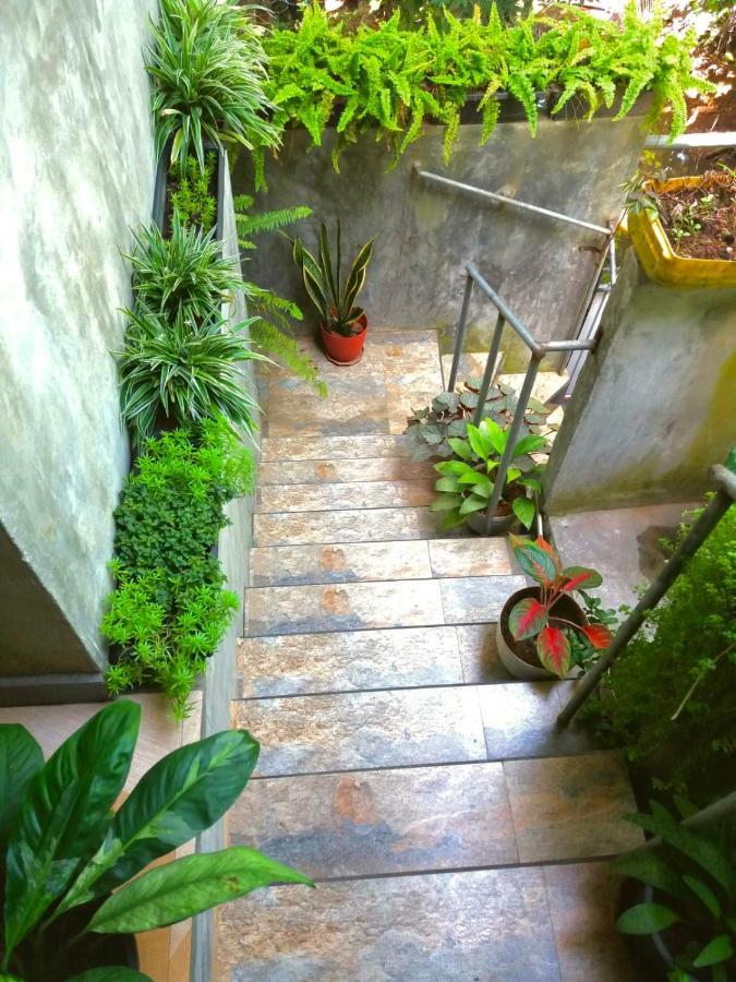 Art House Otel Dikwella Dış mekan fotoğraf
